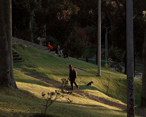 Person taking a calm walk in a peaceful urban park in Bogota
